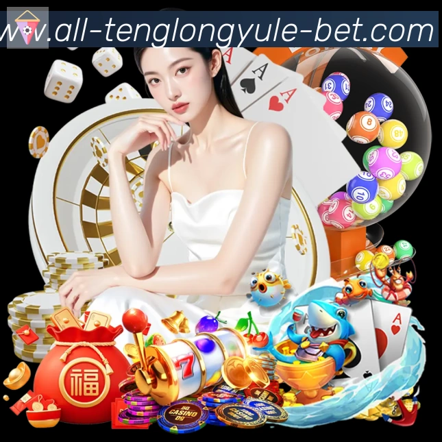 未来规划